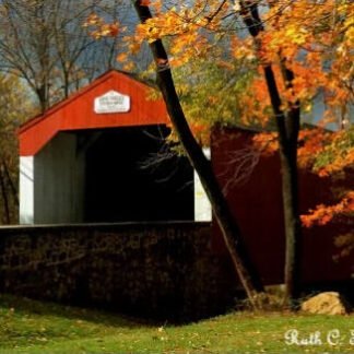 After the Storm at Pine Valley Covered Bridge - New Britain, PA