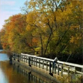 Autumn Afternoon Fishing - Delaware & Raritan Canal, NJ