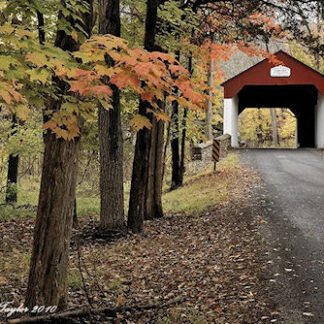 Autumn Colors Along Cabin Run Covered Bridge - Plumstead, PA