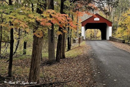 Autumn Colors Along Cabin Run Covered Bridge - Plumstead, PA
