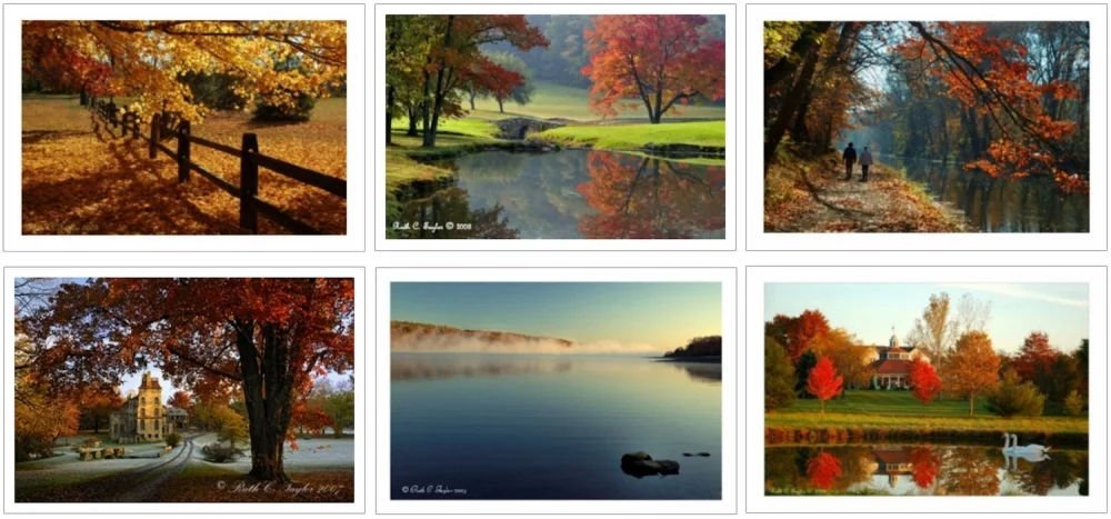 Autumn