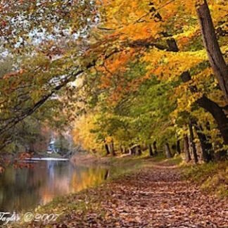Autumn Light Along the Delaware Canal - Delaware Canal, PA