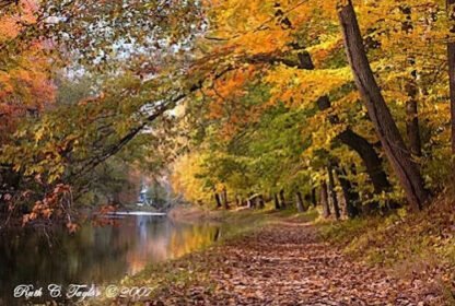 Autumn Light Along the Delaware Canal - Delaware Canal, PA