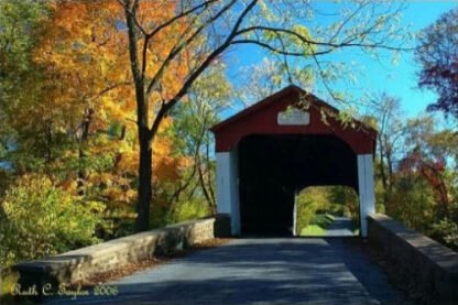 Autumn Light at Van Sant - Washington Crossing, PA