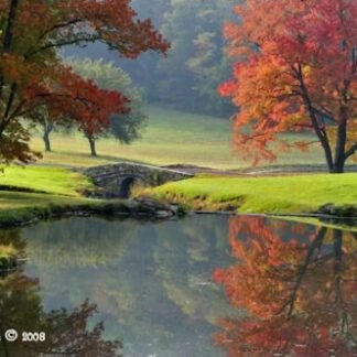 Autumn Morning Hues - Lahaska, PA
