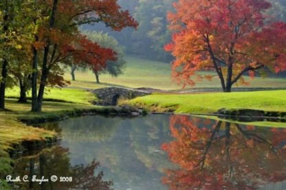Autumn Morning Hues - Lahaska, PA