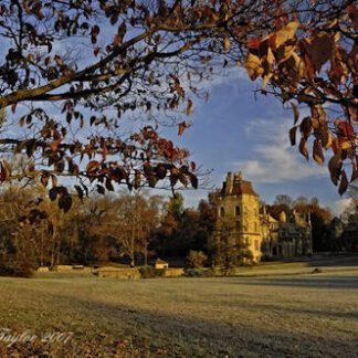 Autumn Reds at Fonthill - Doylestown, PA