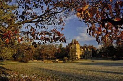 Autumn Reds at Fonthill - Doylestown, PA