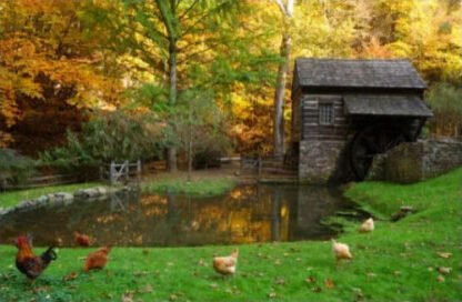 Autumn at Bromley Mill - Cuttalossa Farm, PA