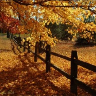 Autumn at Tinicum Park - Erwinna, PA