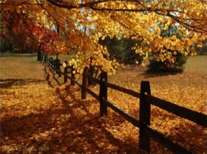 Autumn at Tinicum Park - Erwinna, PA