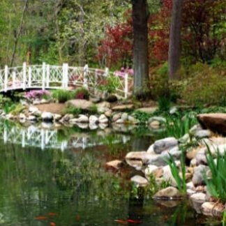 Azalea Bridge - Sayen Gardens, NJ