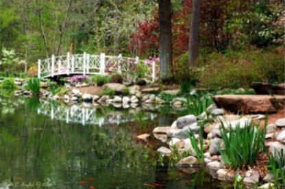 Azalea Bridge - Sayen Gardens, NJ