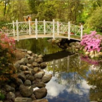 Azalea Festival Morning - Sayen Gardens, NJ