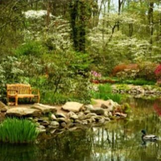 Azalea Time - Sayen Gardens, NJ