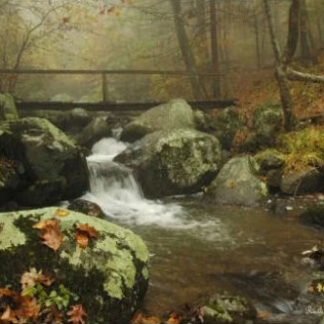 Bridge In The Mist - Peaks of Otter, VA