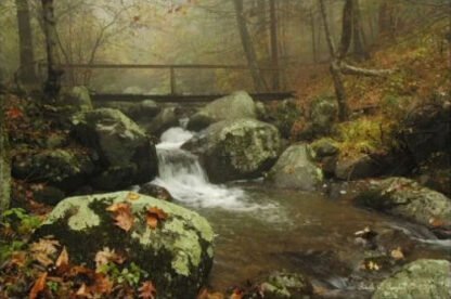 Bridge In The Mist - Peaks of Otter, VA