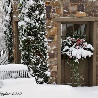 Carver's Mill - Holiday Card