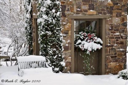 Carver's Mill - Holiday Card