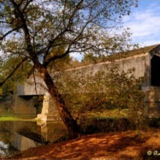 Early Autumn Along Schofield Ford Covered Bridge - Newtown, PA