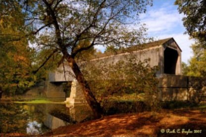 Early Autumn Along Schofield Ford Covered Bridge - Newtown, PA