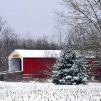First Snowfall on Moods Covered Bridge - Perkasie, PA