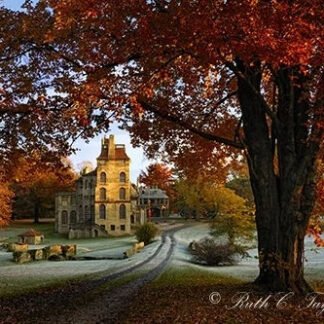 Frosty Autumn Morning at Fonthill - Doylestown, PA