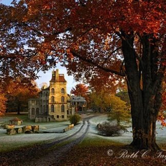 Frosty Autumn Morning at Fonthill - Note Card