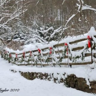 Holiday Decor - Holiday Card