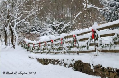 Holiday Decor - Holiday Card