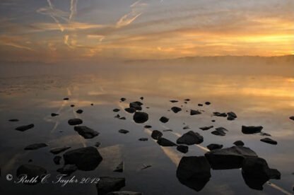 Infinite Morning - Quakertown, PA