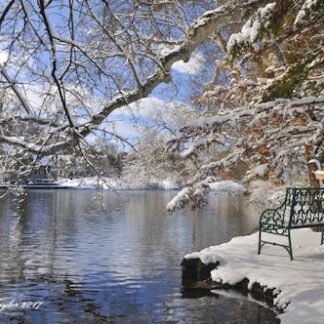 Lake Afton Bench Yardley - Holiday Card