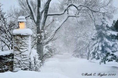 Light the Winter Path - Holiday Card