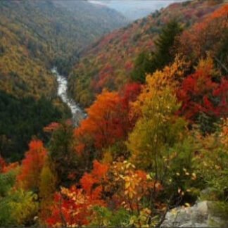 Lindy Point Overlook - Blackwater Falls, WV