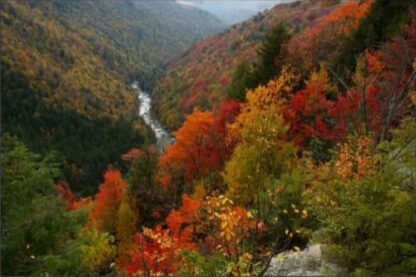 Lindy Point Overlook - Blackwater Falls, WV