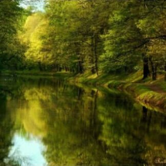 Magical Light - Delaware Canal, PA