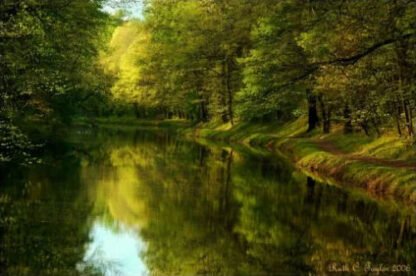 Magical Light - Delaware Canal, PA