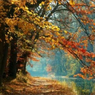 Misty Autumn Morning - Delaware Canal, PA