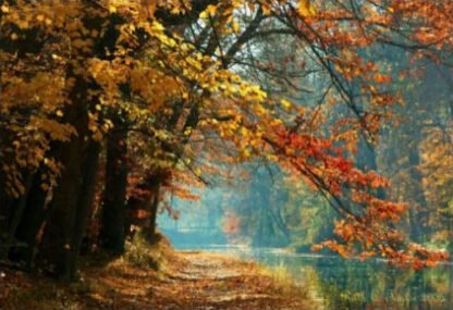 Misty Autumn Morning - Delaware Canal, PA