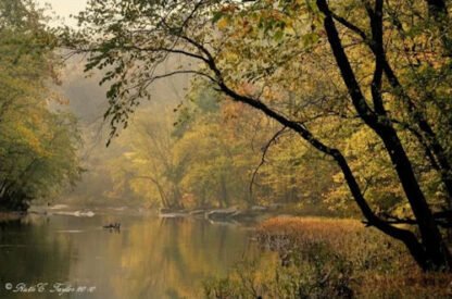 Misty Morning Along the Tohickon - Pipersville, PA