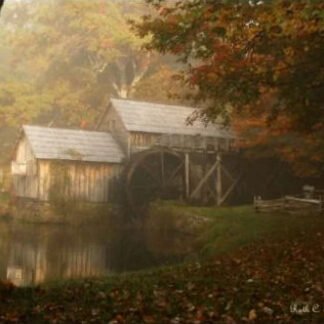 Misty Morning - Mabry Mill, VA