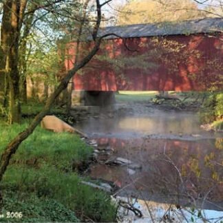 Misty Morning at Pine Valley Covered Bridge - New Britain, PA