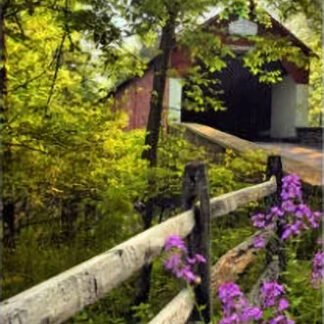 Misty Summer Morning at Frankenfield Covered Bridge - Tinicum, PA