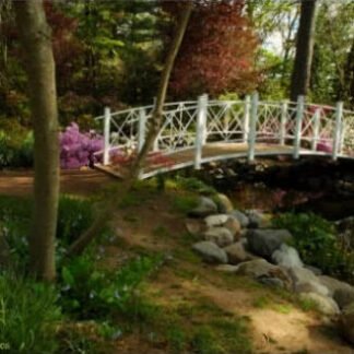 Path To The Bridge - Sayen Gardens, NJ