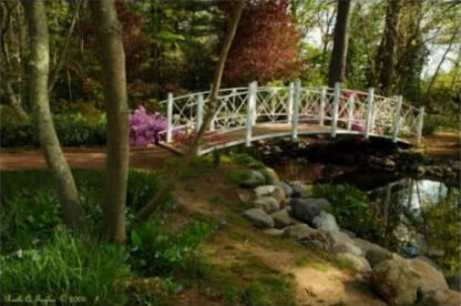 Path To The Bridge - Sayen Gardens, NJ