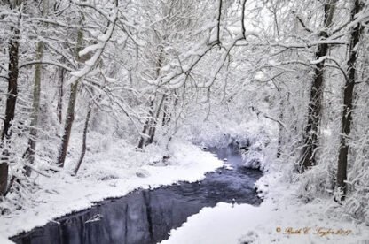 Paunnacussing Creek along Fleecy Dale Road 2