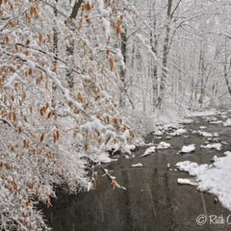 Paunnacussing Creek along Fleecy Dale Road
