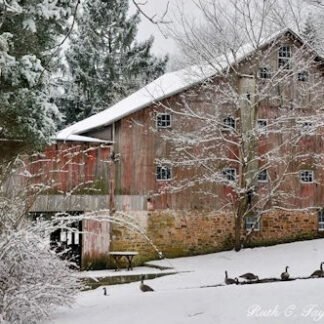 Red Barn - Carversville, PA