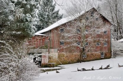 Red Barn - Carversville, PA