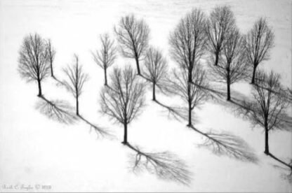Shadows From Above - Plainsboro, NJ